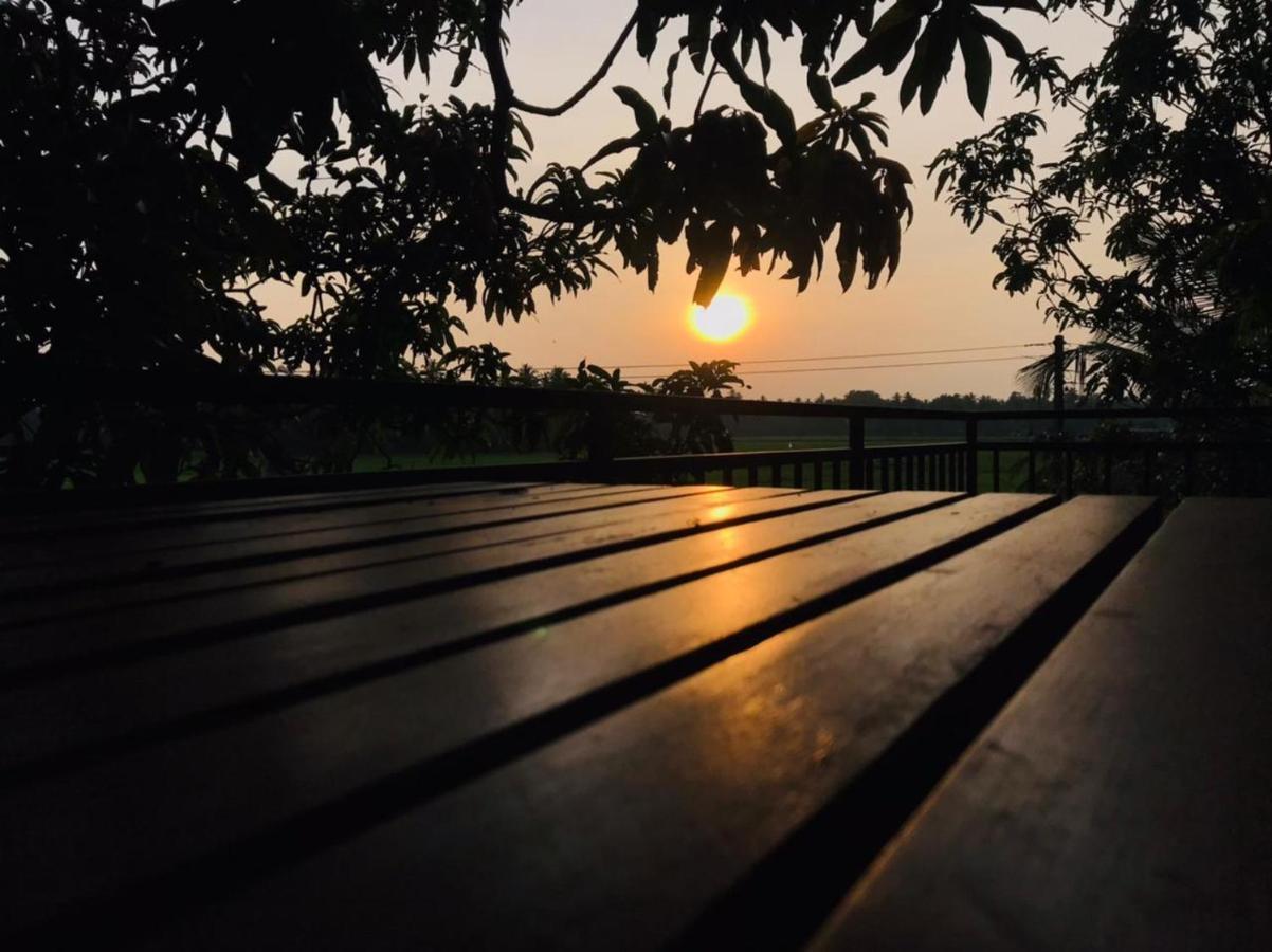 Village Mango Resort Yala تيساماهاراما المظهر الخارجي الصورة