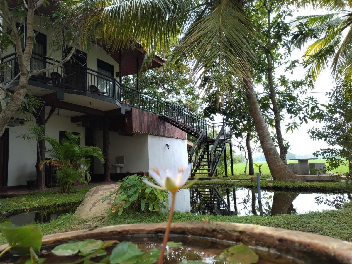 Village Mango Resort Yala تيساماهاراما المظهر الخارجي الصورة